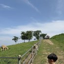 와가목장 이미지