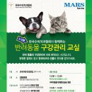 동물치과병원메이 이미지