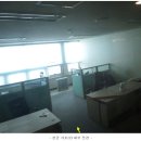 삼라마이다스 이미지