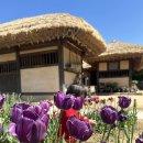 자연생태공원 수목원 야외2 | 아기랑 갈만한 곳 추천｜18개월 아이와 부천자연생태공원 하루 코스 솔직 후기