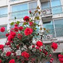 홍제1동 자치회관 이미지