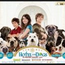 (주)아이펫 이미지