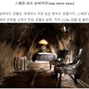 신한행정사 이미지