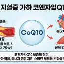 성빈약국 이미지