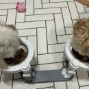 디알메디테크 이미지