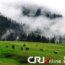 중티목장 이미지