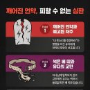 176일 : 예레미야 11~14장 이미지