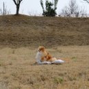 댕스피크닉 이미지