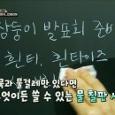 기린인테리어 이미지