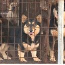 시정농장 이미지