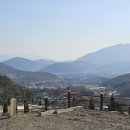 파인 힐링 이미지