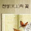 장수댄스아카데미 이미지