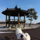 광역코스 이미지