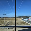 바잘트38.1
