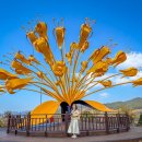 원달보건진료소 이미지