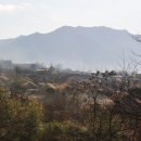 풍경이좋은 집 이미지