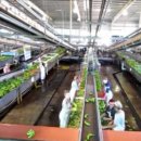 제상 농장 이미지