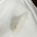 가스코세탁 이미지