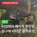 수패키지 | 태국 치앙마이 패키지 여행 솔직 후기, 선택관광 강요·친구랑 패키지 비추천 이유