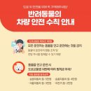 반려켄넬 이미지