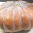 호박PC방 이미지