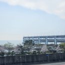 2604 | [13th GIVE 'N RACE 2604] 기브앤레이스 10km, 바다 위를 달렸던 후기