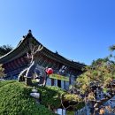 볏짚 한 묶음으로 나라를 사다 이미지