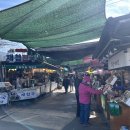 화개장터 | 광양 매화축제 보고 화개장터까지 다녀온 후기 (주차 꿀팁 포함)