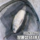 보물섬낚시터 | 일산 손맛터 붕어가 한가득! 넣으면 잡는 경기북부 고양시 보물섬 낚시터