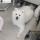 루앤오 이미지