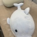 126 | [대전 유성구 왁싱] 제왕절개 전 필수! 38주 임산부 브라질리언 왁싱 대만족 후기 '롱뷰티'