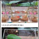 베타상회