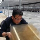 완도전복사료 이미지