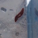 부곡농장2 이미지