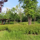 서울식물원 이미지