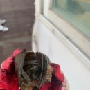 라암도해상공원 이미지