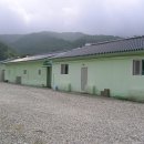 용두초등학교 Daum카페