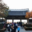 앞산어린이공원 놀이터 이미지