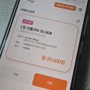 앤텔레콤 주라선불폰