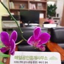 성서와룡타운 이미지