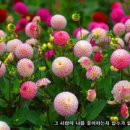 중앙유통단지 이미지