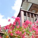 강나루하얀집 이미지