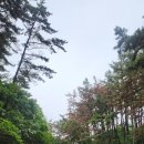용1리마을회관 | 서해랑길 66코스(충남 태안군 10)(도황1리 다목적회관~몽산포해변)