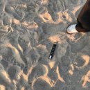 해동장여관 이미지