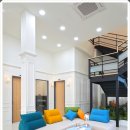 강아지의 품격 이미지