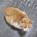 길상낚시터 | 강화도 &#34;길상낚시터&#34; 빙어낚시 체험 후기
