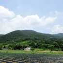 대성골재(주) | 제천 가창산