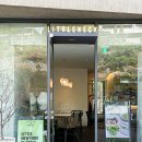 리틀파라솔