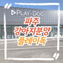보고플레이 | 파주강아지분양 플레이독, 직접 가보고 신뢰하게 된 후기