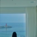 스테이수안 이미지